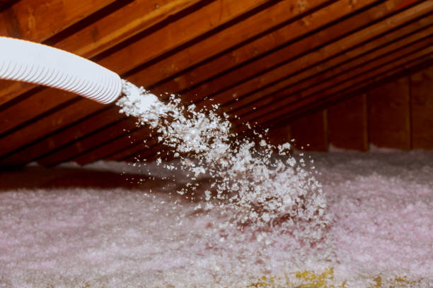 Best Geographic-Specific Insulation Services in Wentzville, MO