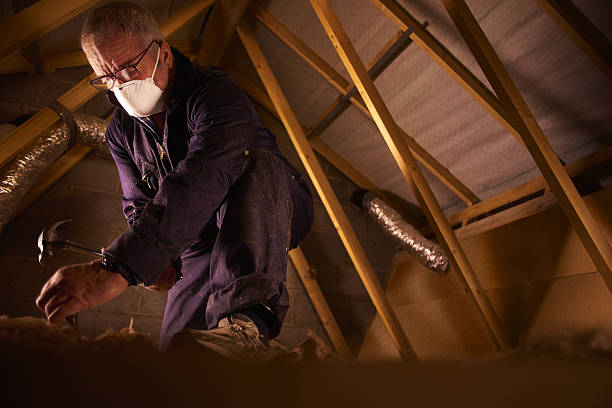 Best Cellulose Insulation in Wentzville, MO